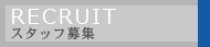 スタッフ募集